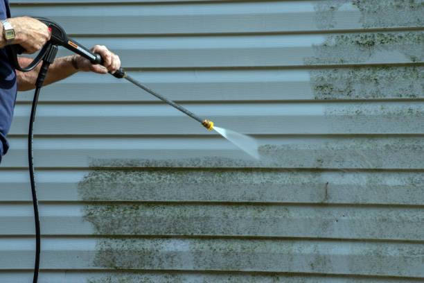 Best Patio and Deck Pressure Washing  in Columbia, IL